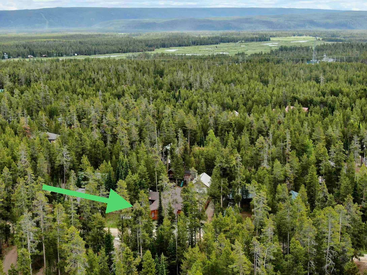 An aerial view reveals a cabin nestled among dense, green pine trees, surrounded by a lush forest landscape. A gravel driveway leads to the home, which is partially obscured by foliage. The expansive wilderness extends into the distance, displaying a serene natural environment.