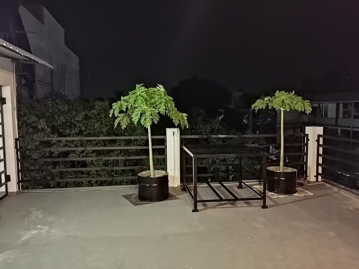 A rooftop terrace is presented at night, featuring two potted plants on opposite sides. The area is surrounded by a black railing, providing an unobstructed view of the surroundings. The ground is smooth and plain, enhancing the quiet ambiance.
