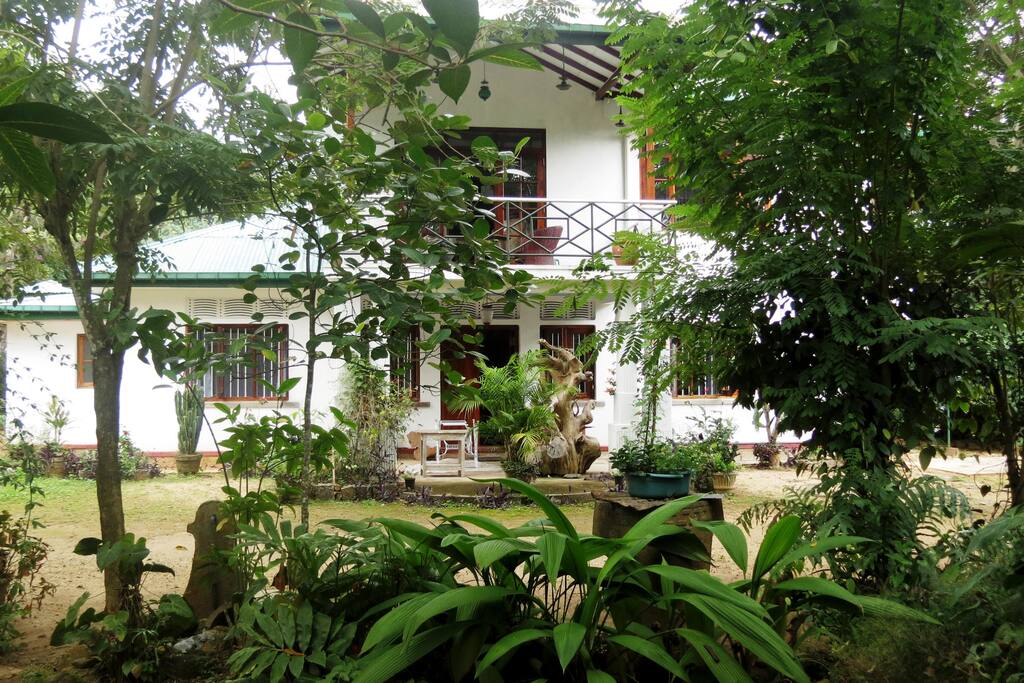 Our bungalow