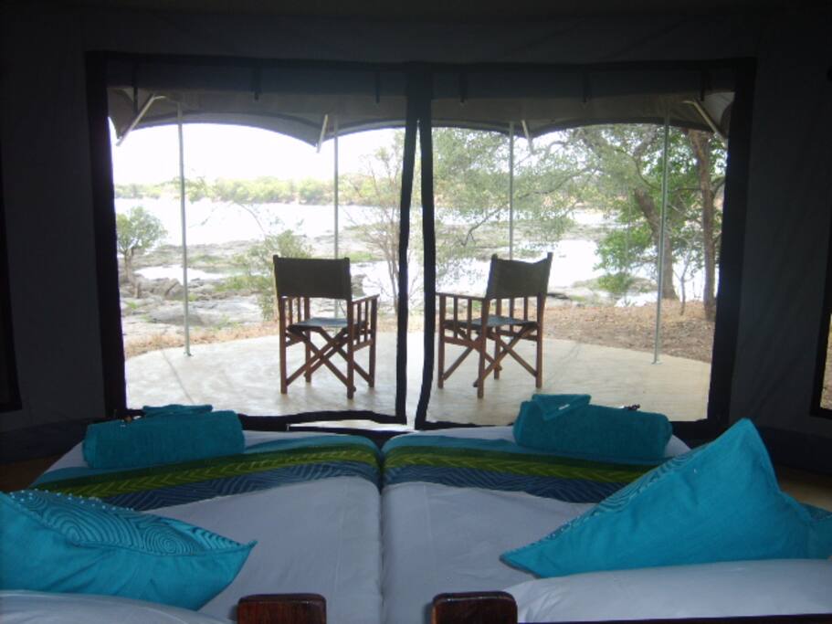 View from the tent