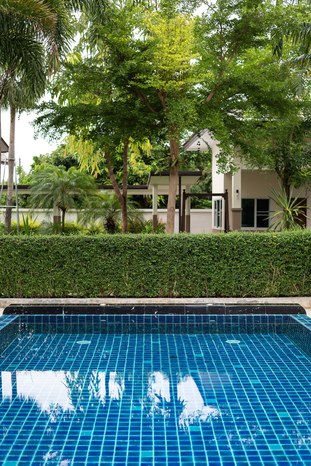 A clear swimming pool is framed by well-manicured hedges and lush greenery. In the background, the exterior of a contemporary house is visible, contributing to a calm and relaxing environment.