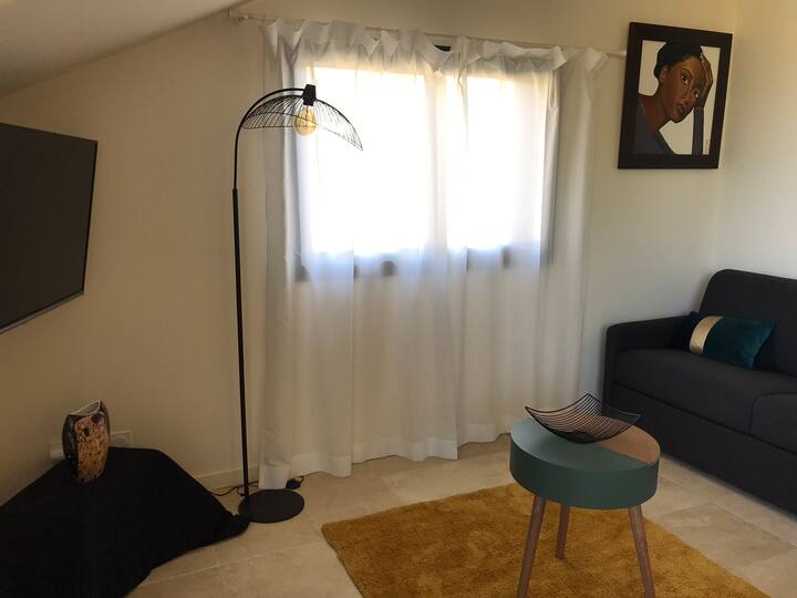 L’appartement Artistique De Boucan  Canot Appartt2 - Saint-Gilles les Bains