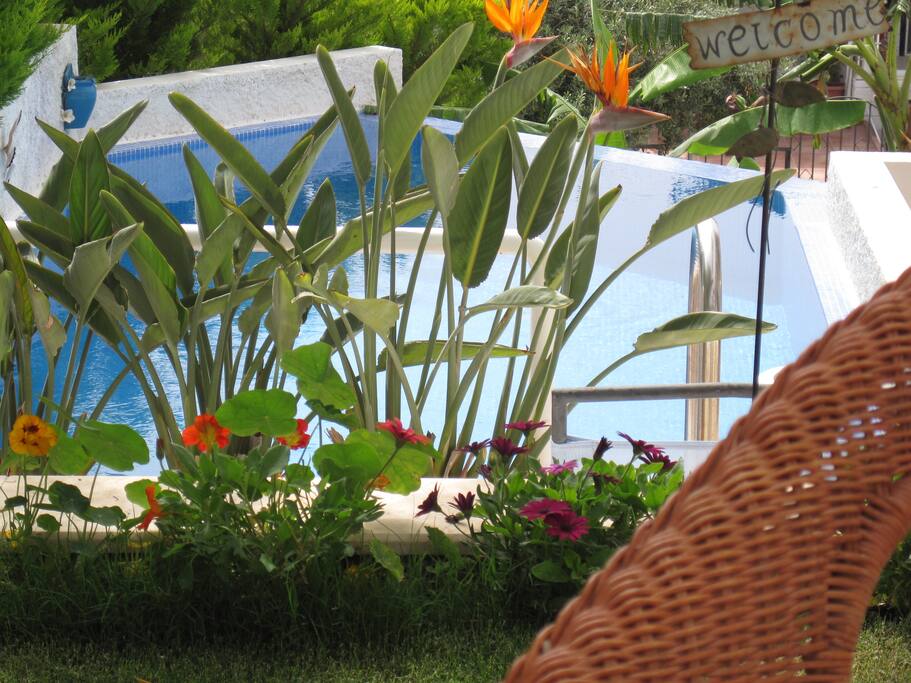 Pool view from the fırst level garden.