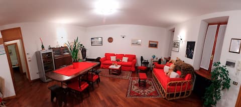 Top performing Airbnb: Marta's house in the center of Pavia Martha's home in Pavia