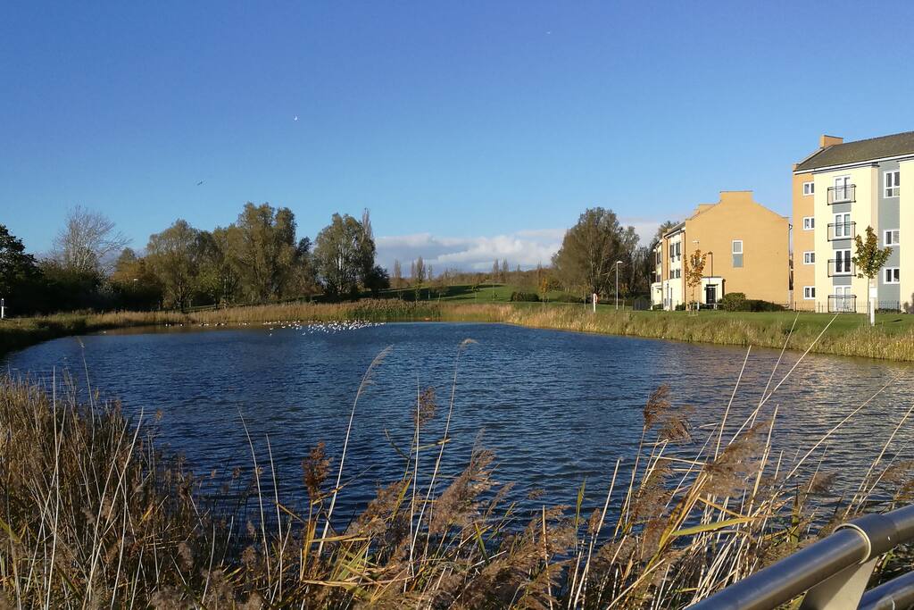 Beautiful setting of the house