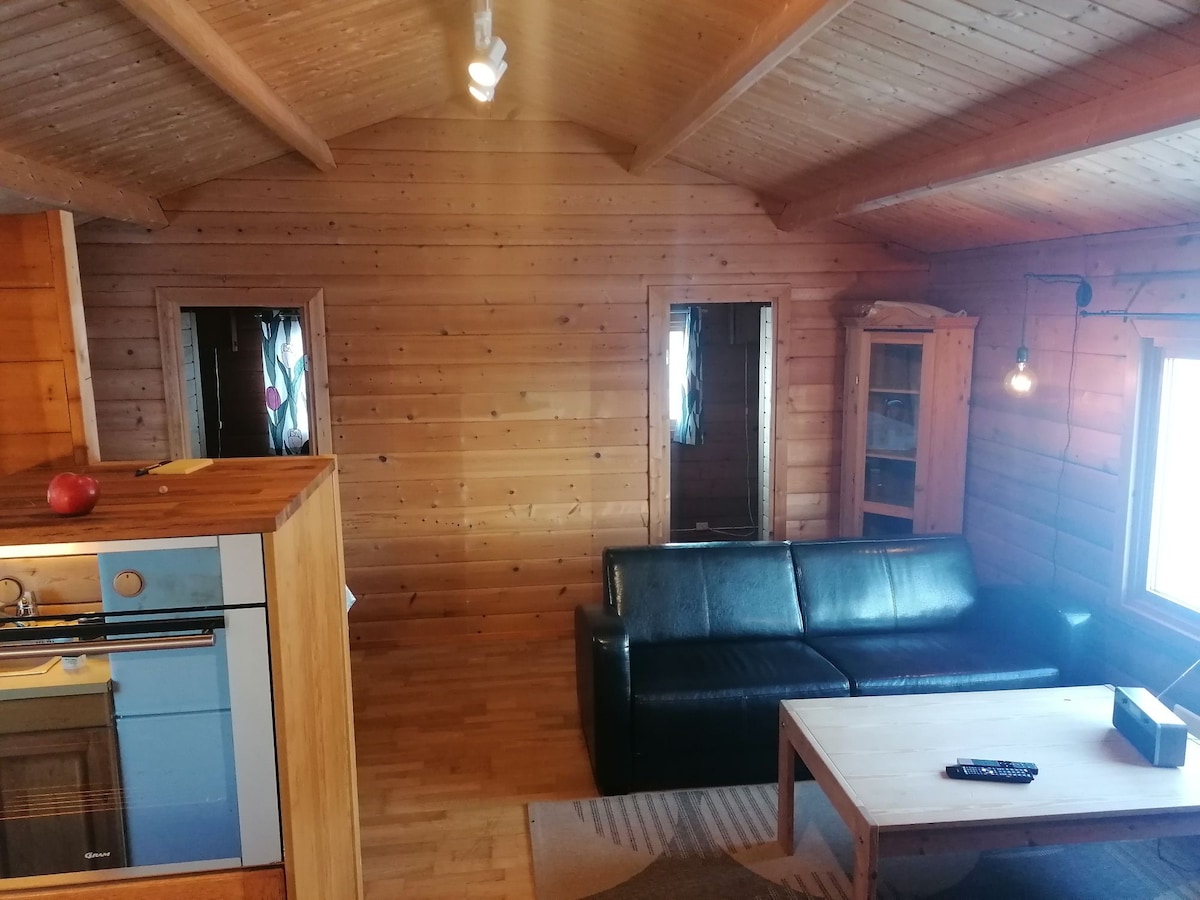 An open living area features smooth wooden walls and a high, sloped ceiling. A black sofa is positioned opposite a wooden coffee table, creating a comfortable sitting arrangement. Large windows allow natural light to fill the space, highlighting the warm tones of the wood.
