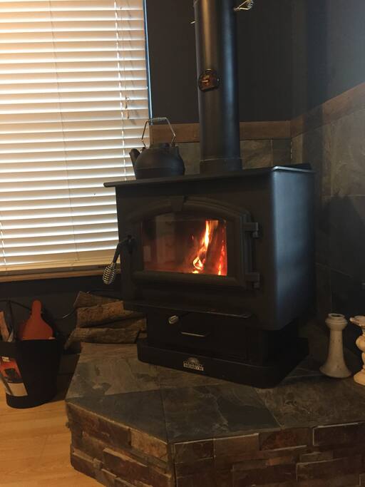 Wood burning stove with endless supply of wood from the ranch.