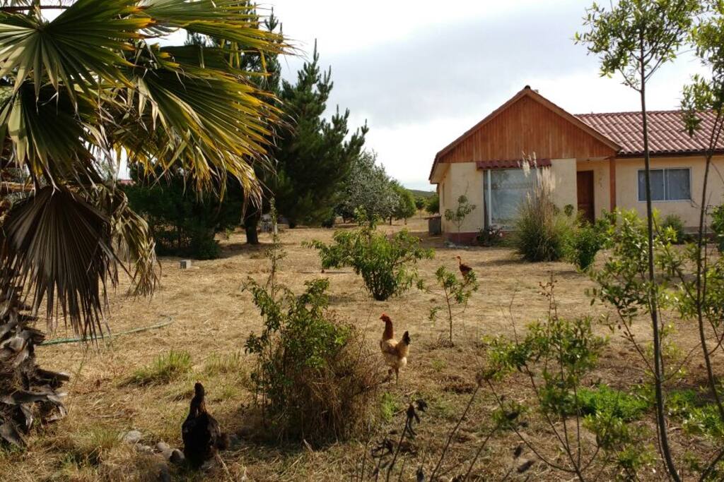 1/2 HECTAREA DE CAMPO A SU DISPOSICION