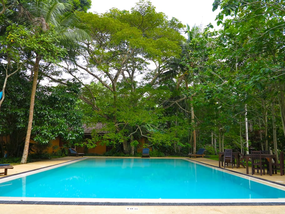 The gorgeous pool shared by just 7 privately owned bungalows in a two acre gated community just yards from the beach!