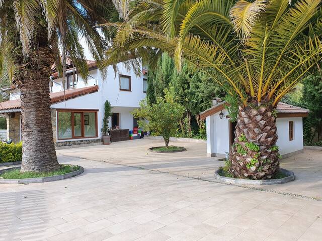 Dreams and friends on the coast of Bilbao. gallery image 4