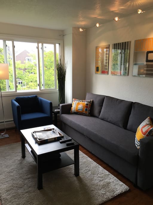 Bright, cozy living room with new furnishings, sleeper sofa and track lighting