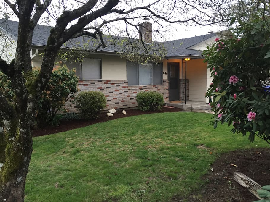 Large front yard