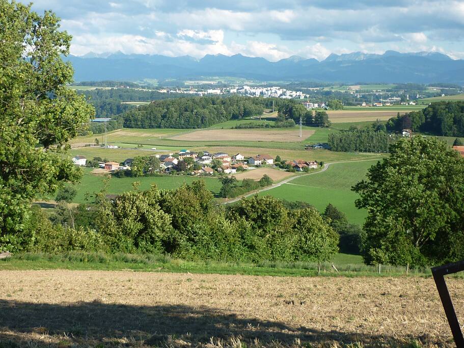 Situation :
Vue du quartier, en direction du Sud, avec la ville de Fribourg, les Préalpes et les Alpes dans le fond