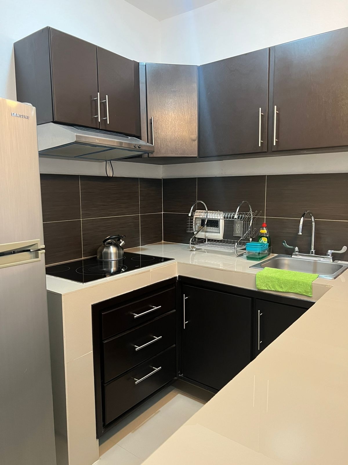 A compact kitchen features dark cabinetry and a light countertop, with essential appliances including a silver refrigerator and a kettle. A sink is positioned near cleaning supplies, and a green towel adds a pop of color. The layout emphasizes functionality and efficiency.
