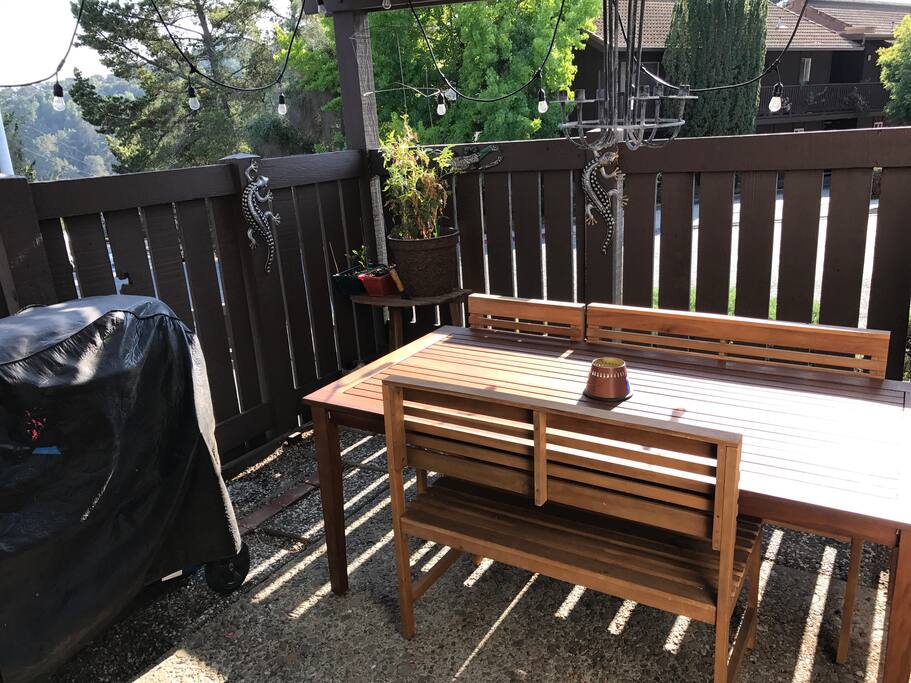 Outdoor dinning space with charcoal BBQ. And lights for evening dinning
