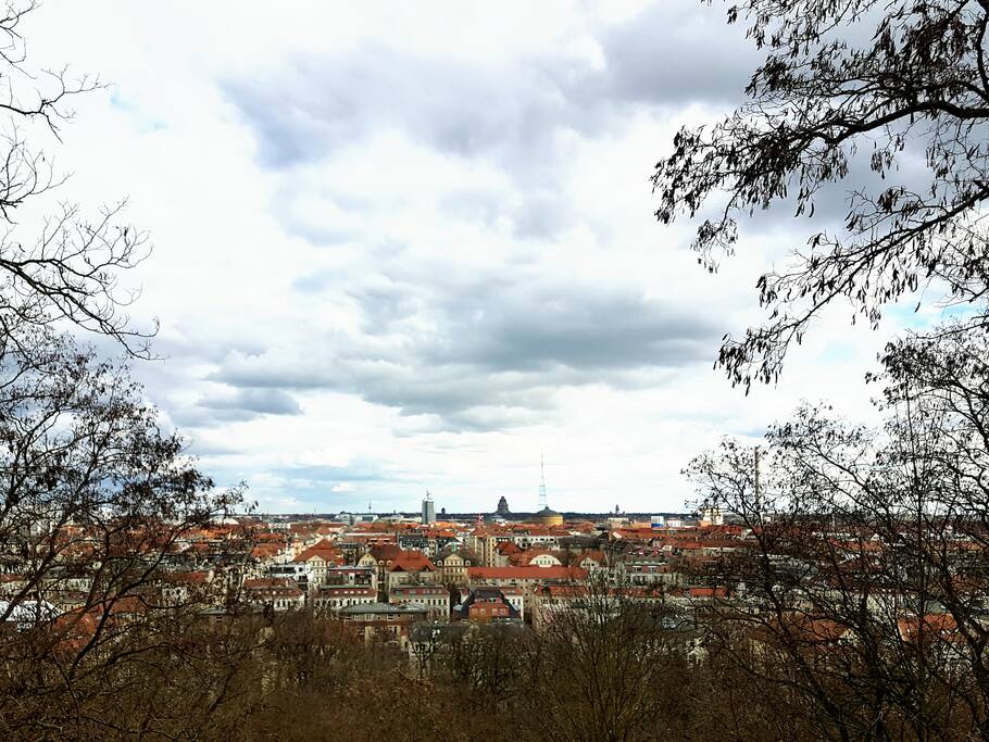 Blick vom Fockeberg