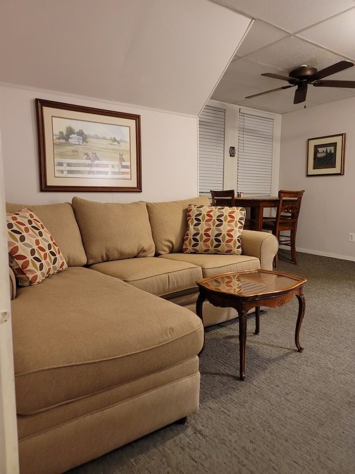 Large Comfortable Historic Apt 4 Convenient Local - Louisville, KY