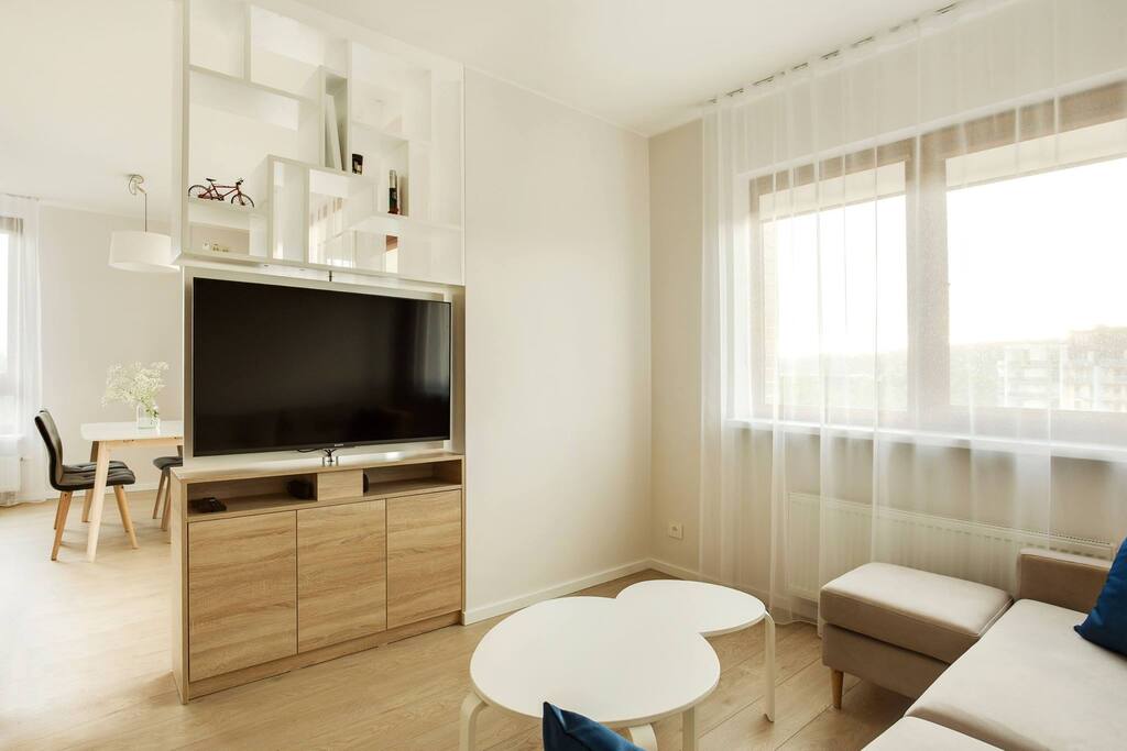 Living room with full pull-out sofa large enough to accommodate two grown adults comfortably.