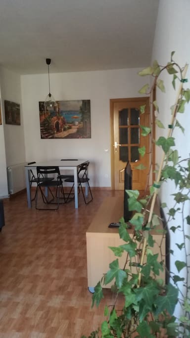 Salon comedor-living room