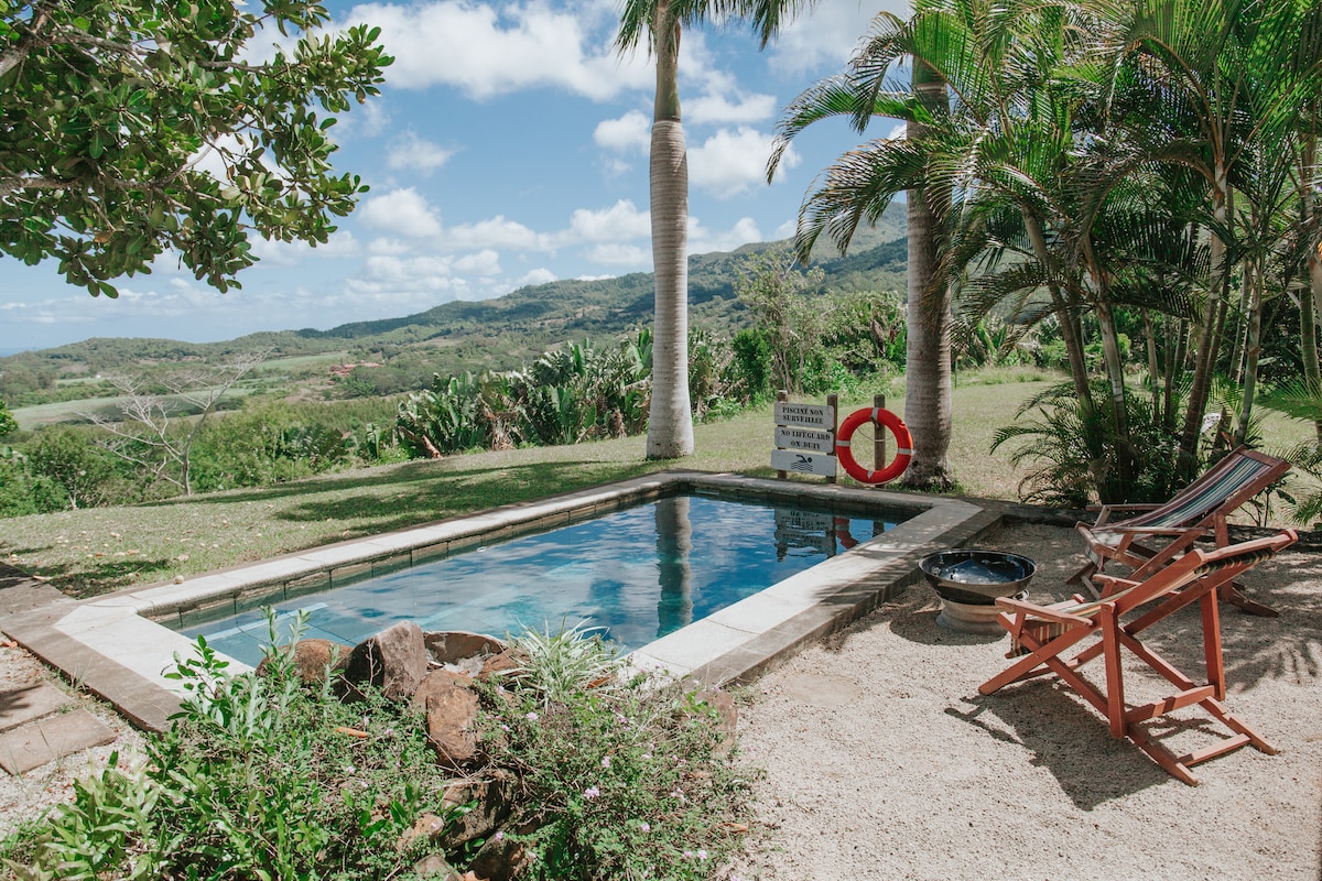 A small outdoor pool is surrounded by lush greenery and palm trees, offering a serene view of the landscape. A wooden lounge chair is positioned nearby, with a life preserver hanging on a post, contributing to a relaxed atmosphere.
