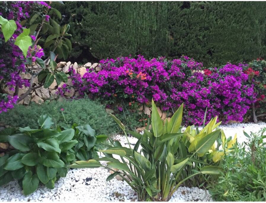 El jardín Mediterráneo