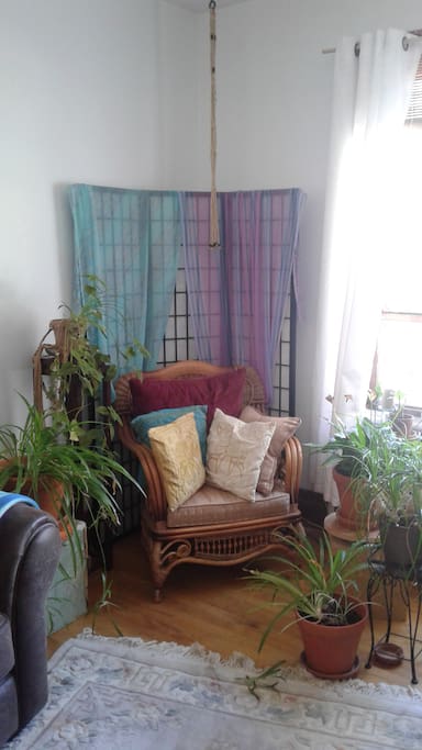 un salon ensoleillé, sunny living room