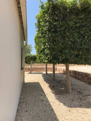 FINCA IN SANTANYI (rent directly to the owner) gallery image 5