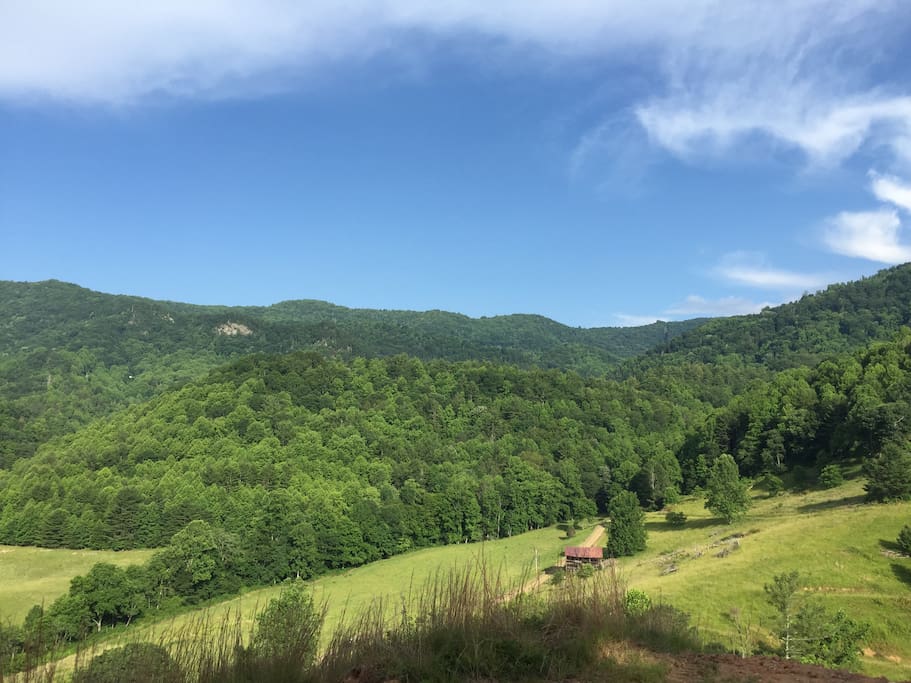 View directly in front of the deck