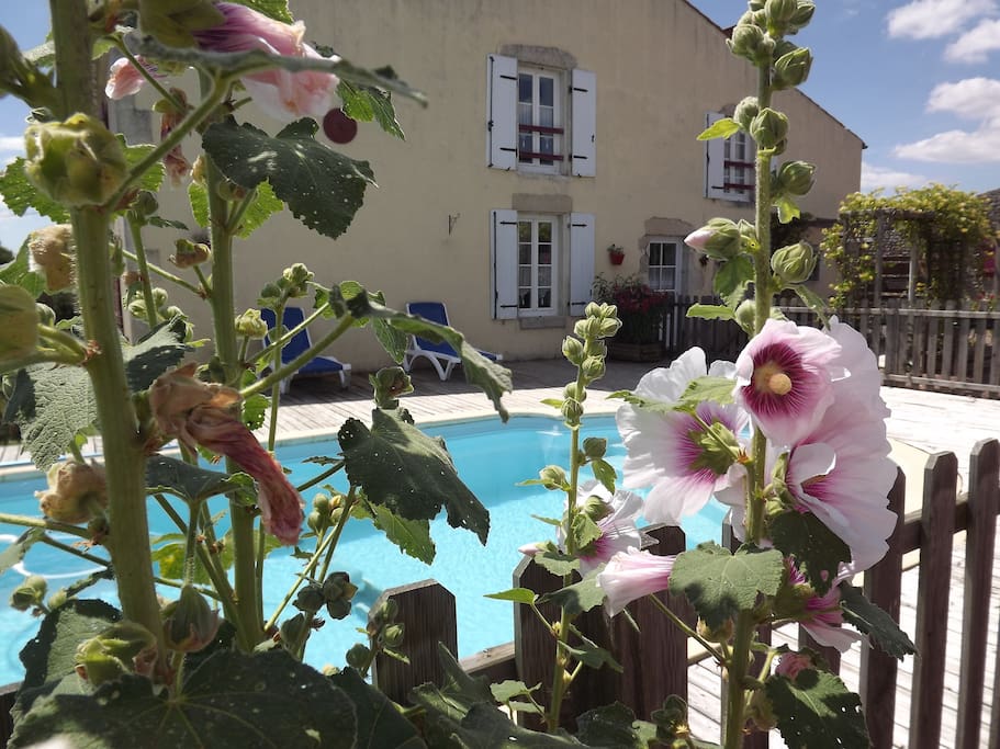 LA PISCINE 8X4