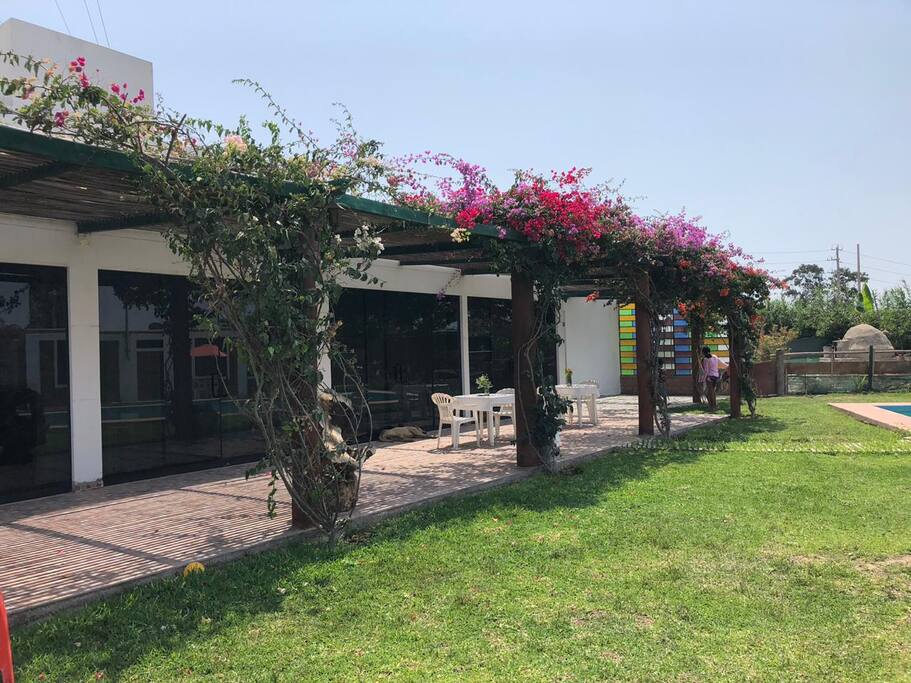Terraza