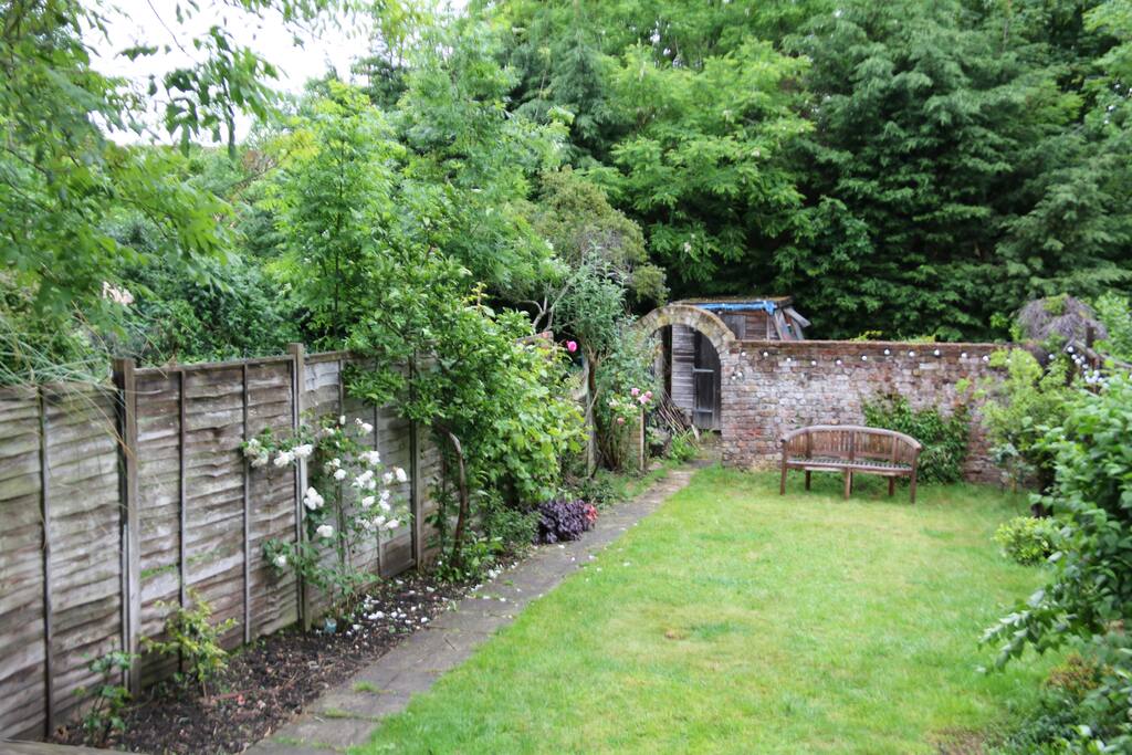 Our garden in spring