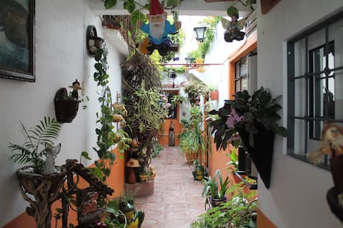 House with a beautiful garden in downtown Tula