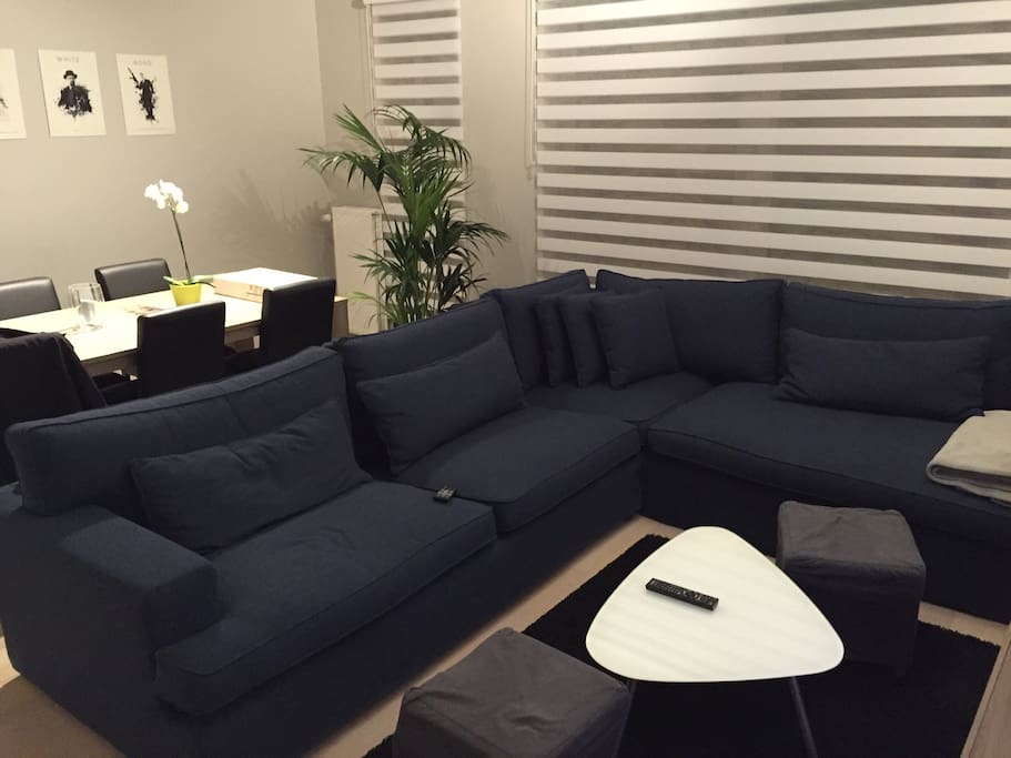 Picture of the couch. The couch is in L shape, so 2 people can sleep on it if needed