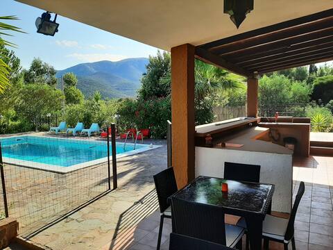 Sardinia pool villa in olive grove