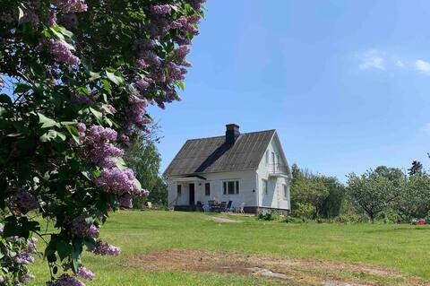 Doris house (charming 50s house)