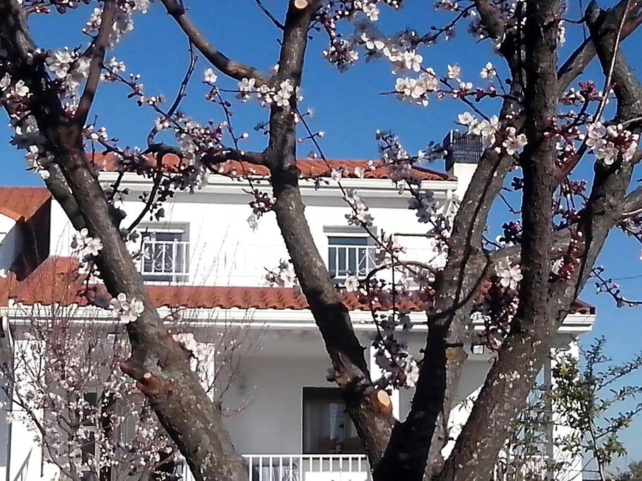 La Casa Verde y Azul