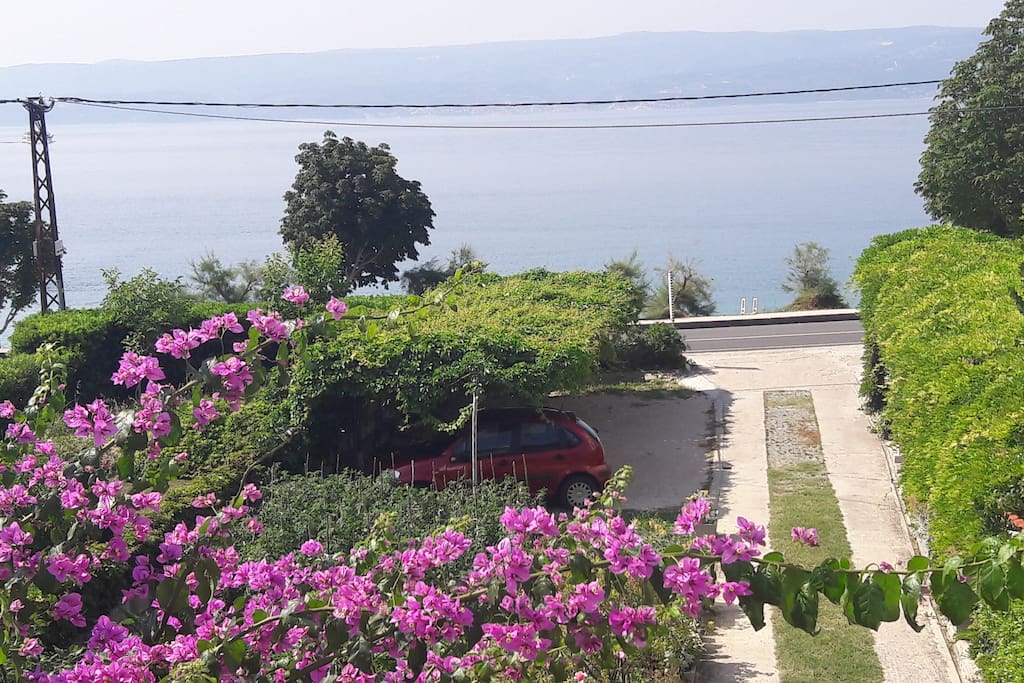 Dvorište i parking
