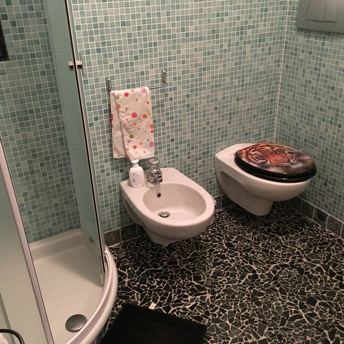 Bathroom with shower and bathub