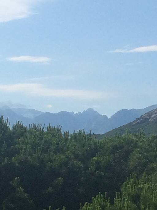 Monte Cintu, le toit de la Corse, droit devant vous , vu de la terrasse