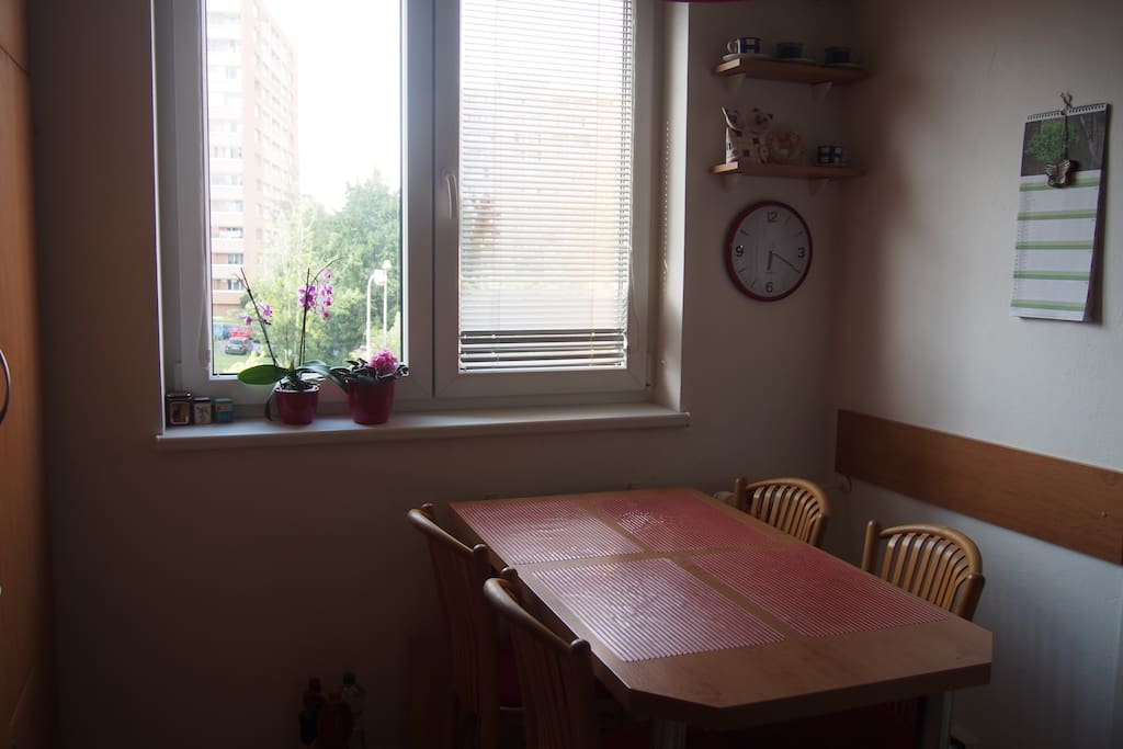 Fully equipped kitchen. Coffee, tea and a basic breakfast (yoghurt, oatmeal, fruit, milk, eggs, butter, jam, bread) is available.