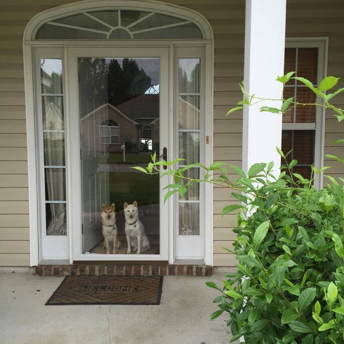 Front door