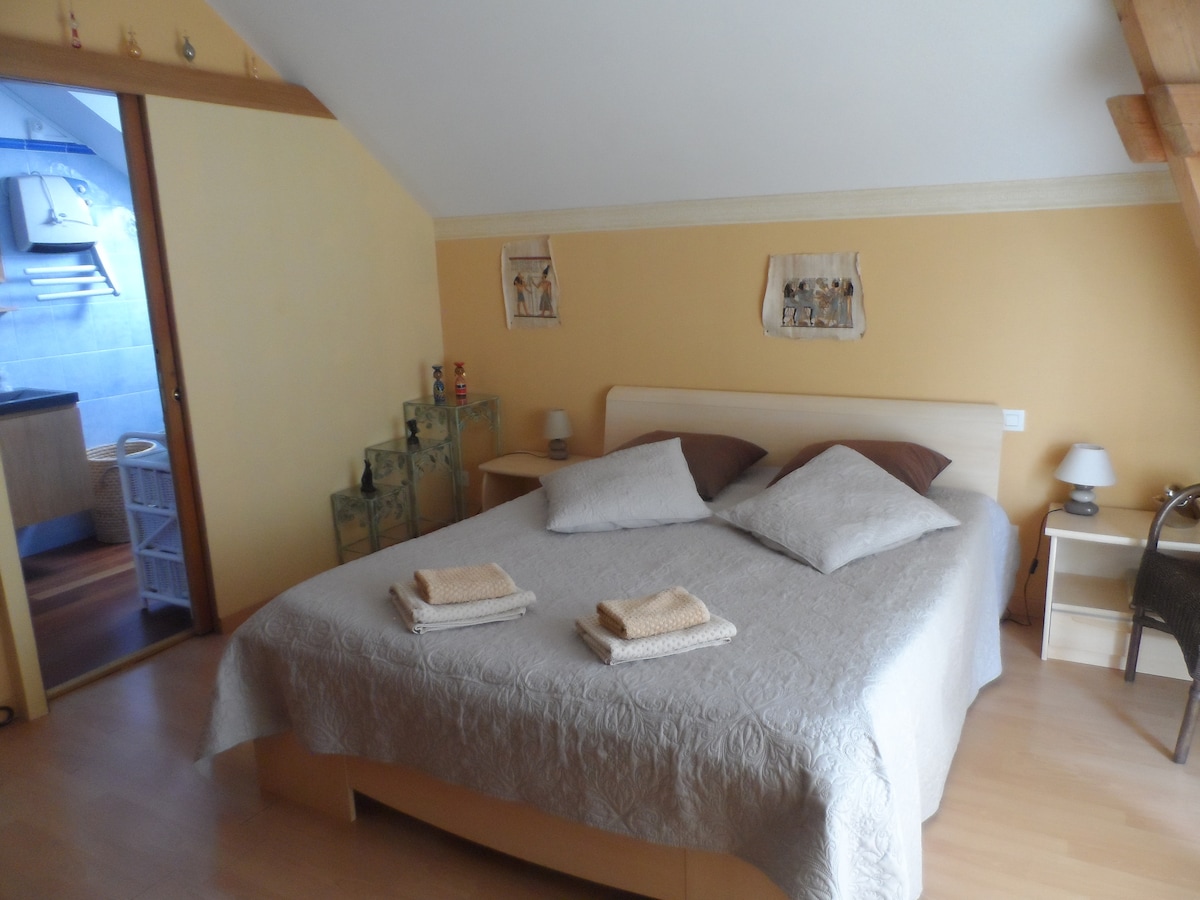 A spacious bedroom is furnished with a large bed featuring a neutral-colored duvet and two decorative pillows. Light wood accents complement the soft yellow walls, while a small bedside table is positioned beside the bed. A door leads to an adjacent area visible in the background.