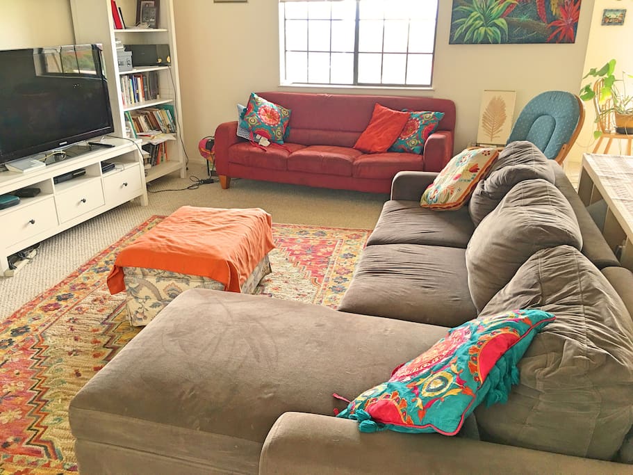 Living Area with our two couches