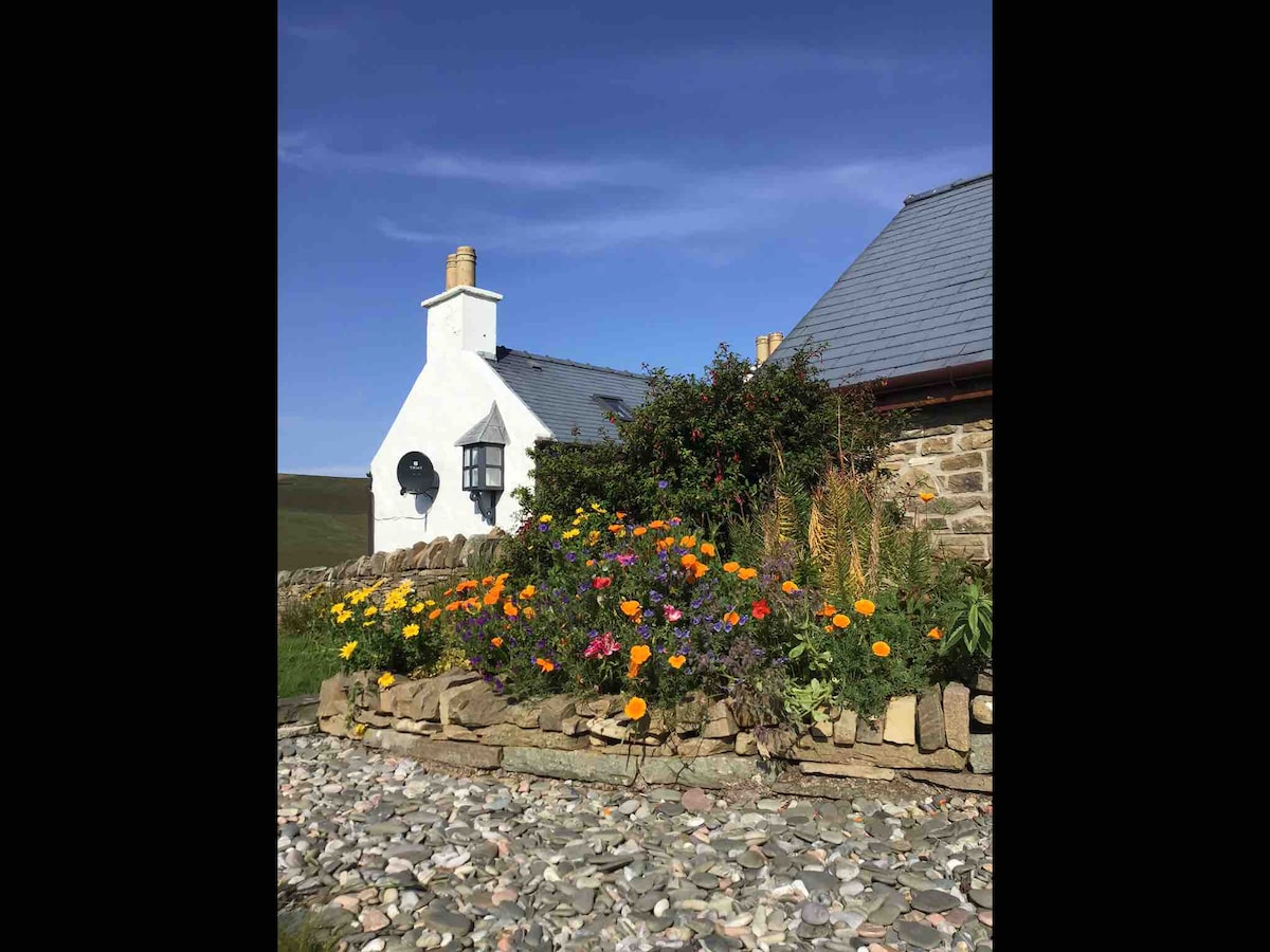 Da Peerie Hoose, Our Quirky, Shetland Tiny House. Tiny houses for