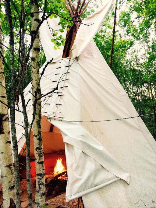 Tipi is located in a small peaceful forest, just few minutes walk from the main house
