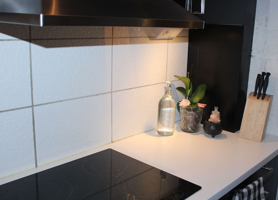 new fresh kitchen with oven, microwave oven, dish washer, etc.