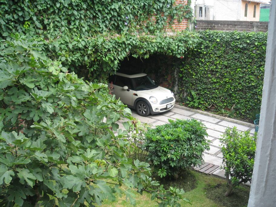 Nice yard