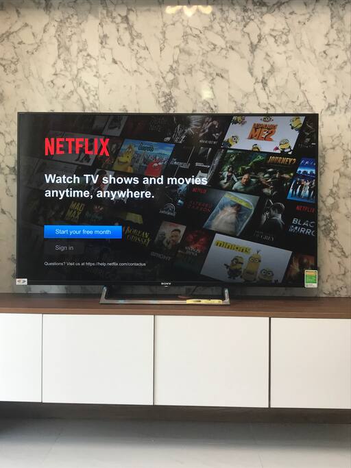 Sony 55-inch TV with Free Netflix account