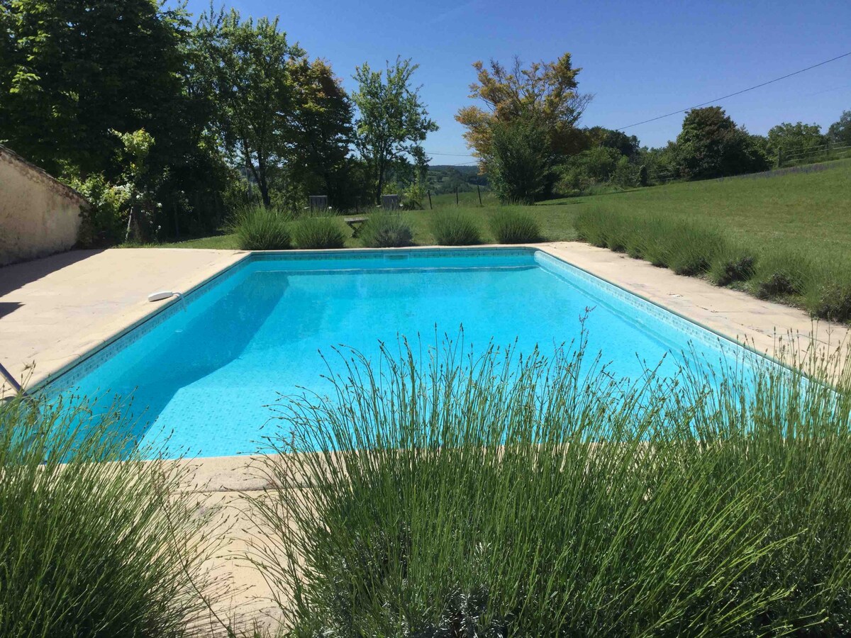 A serene swimming pool is surrounded by lush greenery. Light blue water reflects the clear sky, while gentle plants border the pool area, adding a natural touch. The spacious lawn beyond offers tranquil views of the countryside.