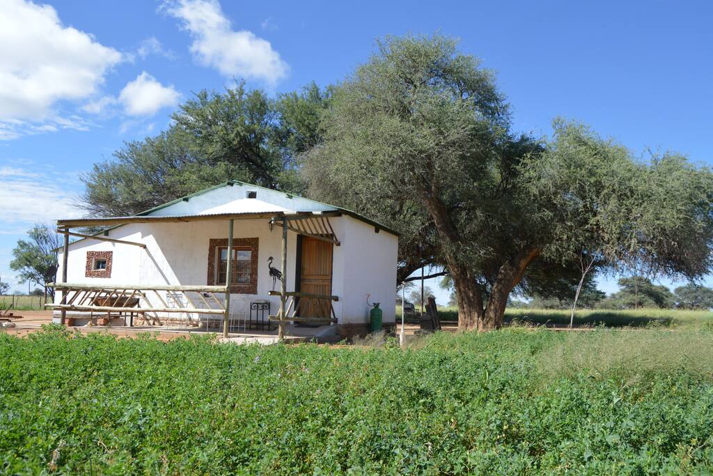 cottage